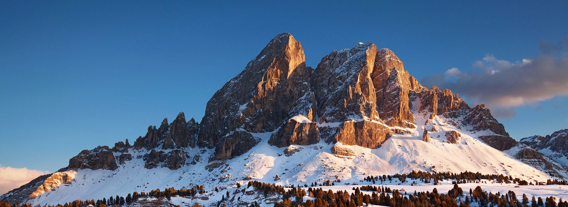 7-preiseschlager-header