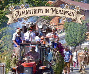 Almabtrieb Meransen