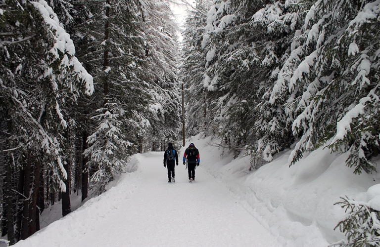 Winterwanderung - Altfasstal