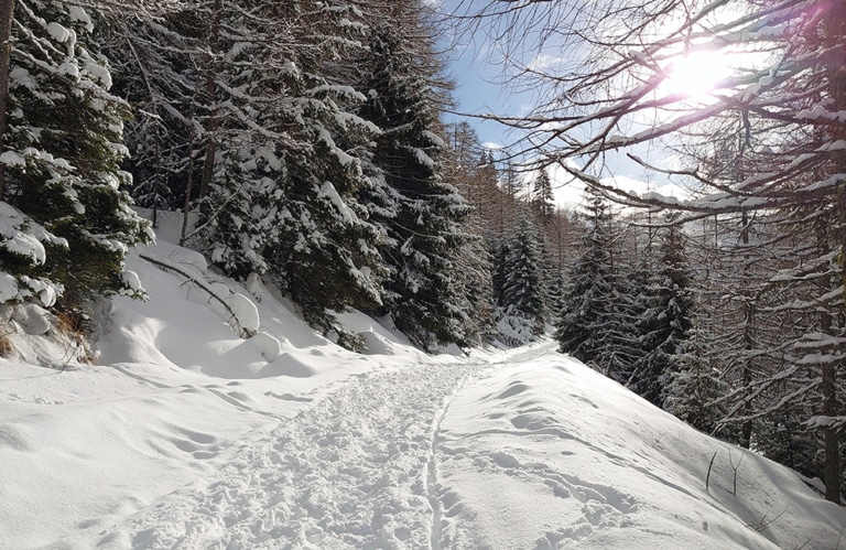 Winterwanderung Altfasstal