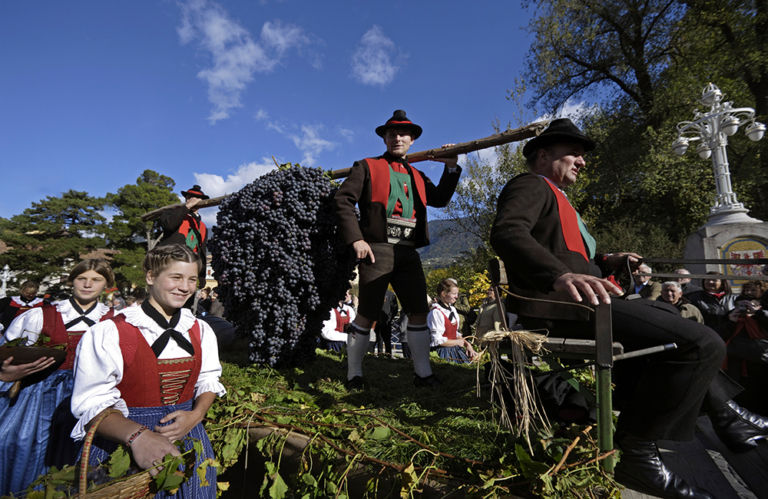 Traubenfest in Meran
