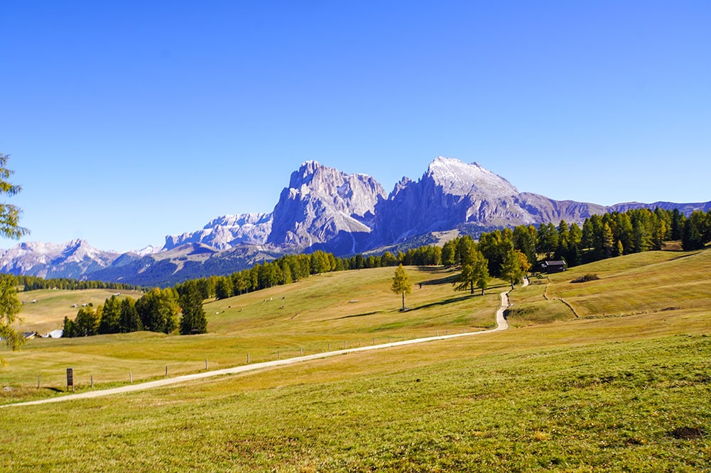 Wanderung-Seiser-Alm239