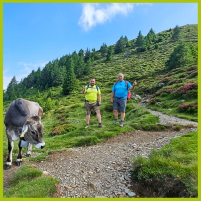 Almwanderung Hirzer013