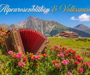 Alpenrosenbluete Volksmusik