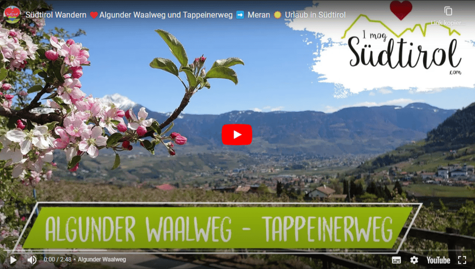 I Mog Suedtirol Video Algunder Waalweg