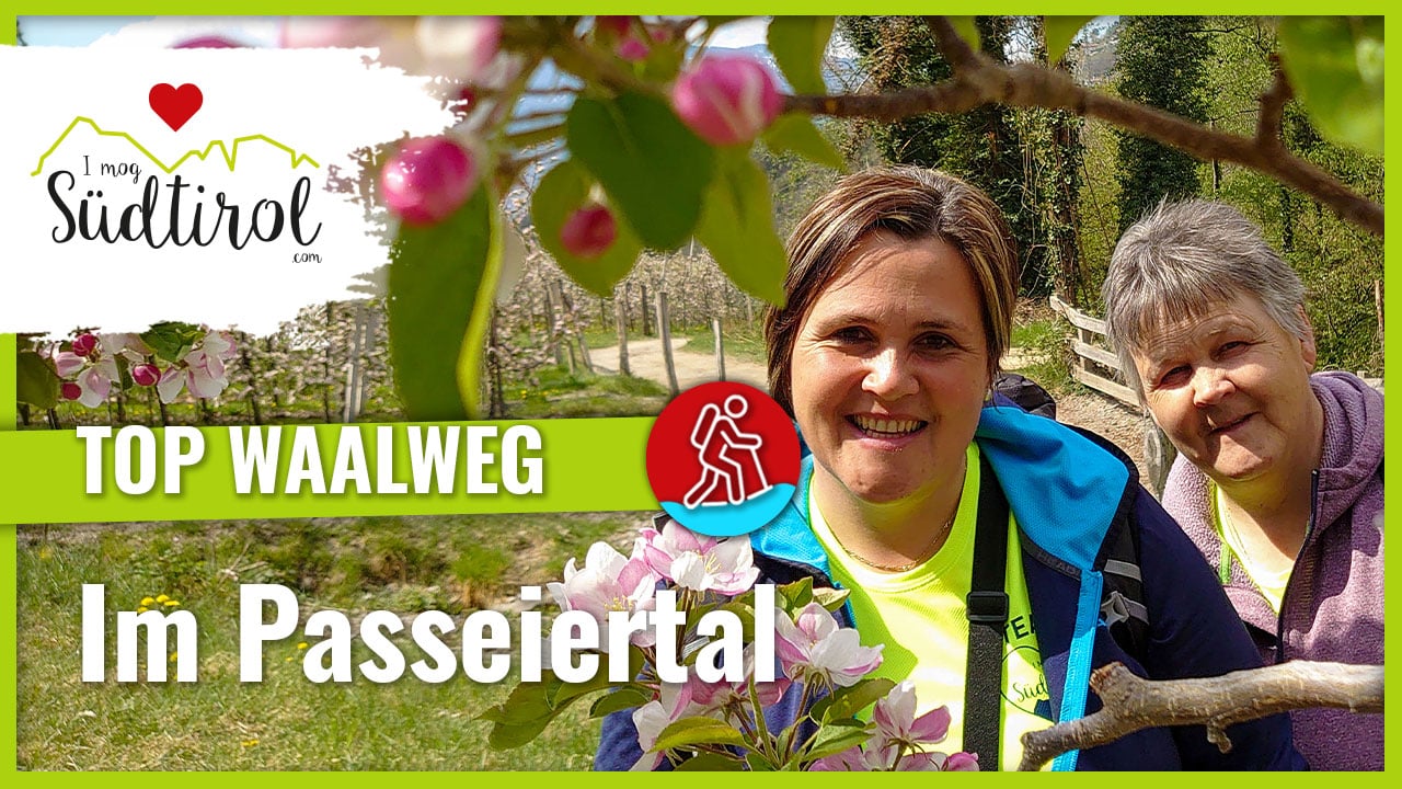 Maiser Waalweg Wanderung I Mog Suedtirol