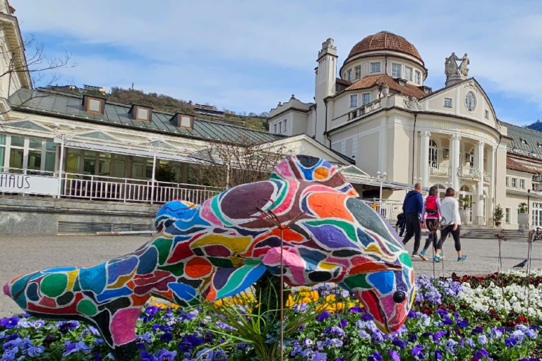 Meran Stadt Flower