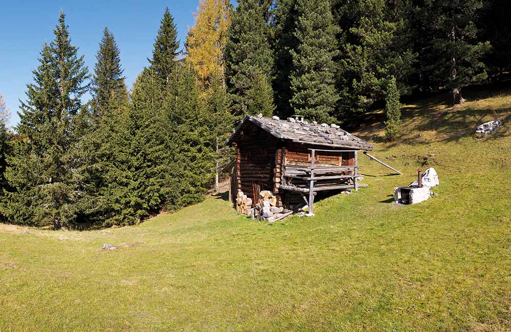 wandern-almgenuss-1-02