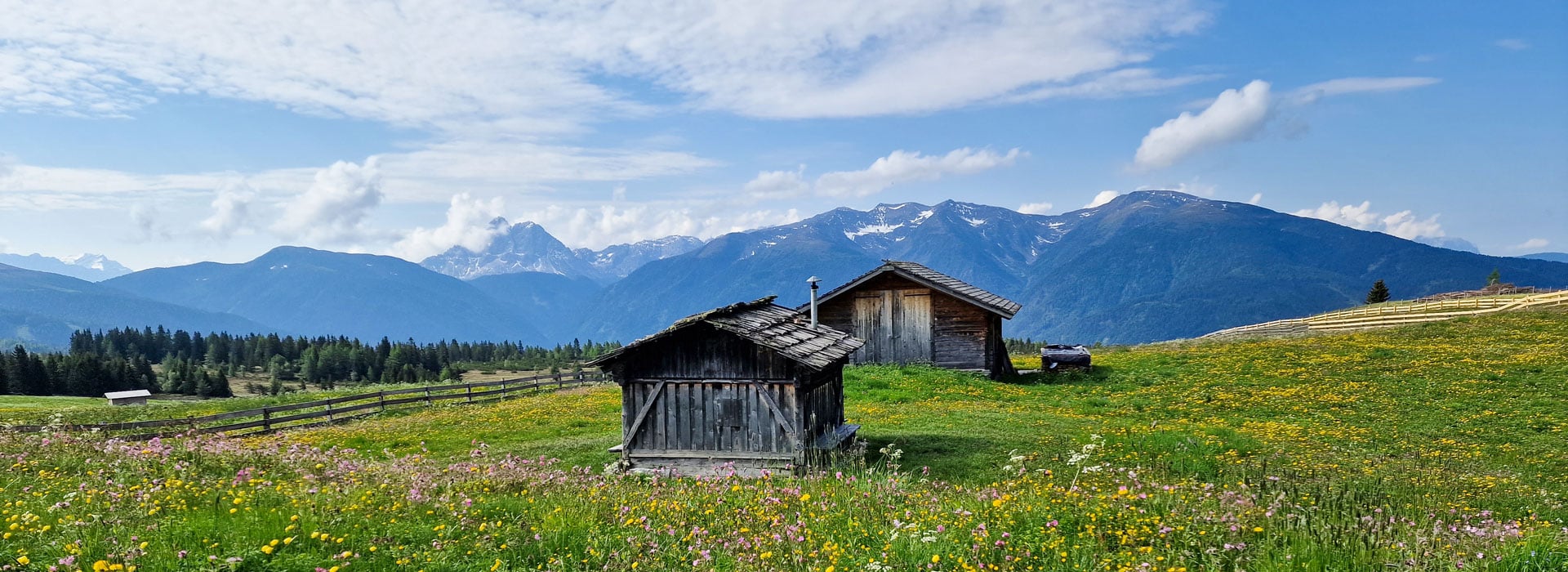 Wanderreise Rodeneckeralm Suedtirol Concerts033