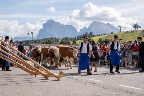 Mehr über den Artikel erfahren Almabtrieb Seiser Alm & Brot- und Strudelmarkt in Brixen ☀️
